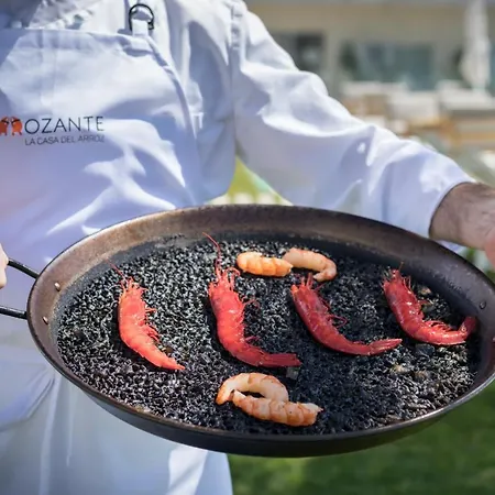 Barcelo Conil Playa - Adults Recommended Ξενοδοχείο